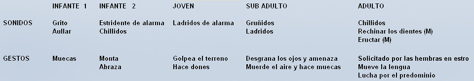 Tabla de categorías psíquicas: sonidos vocales y gestos. Variaciones en el comportamiento según la edad del Presbytis entellus. (M) es