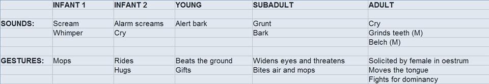 Psychic categories list: vocal sounds and gestures. Behaviour variation depending on the age of Presbytis entellus. (M) stands for