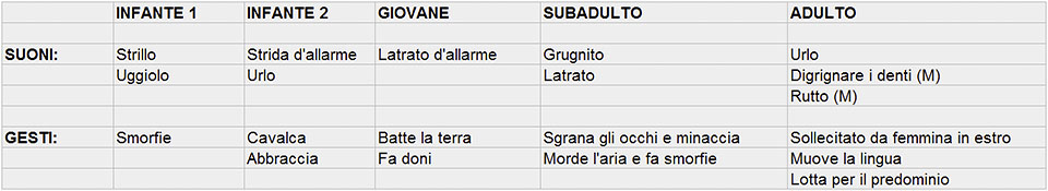 Tabella categorie psichiche: suoni vocali e gesti. Variazione del comportamento secondo l’età del Presbytis entellus. (M) sta per