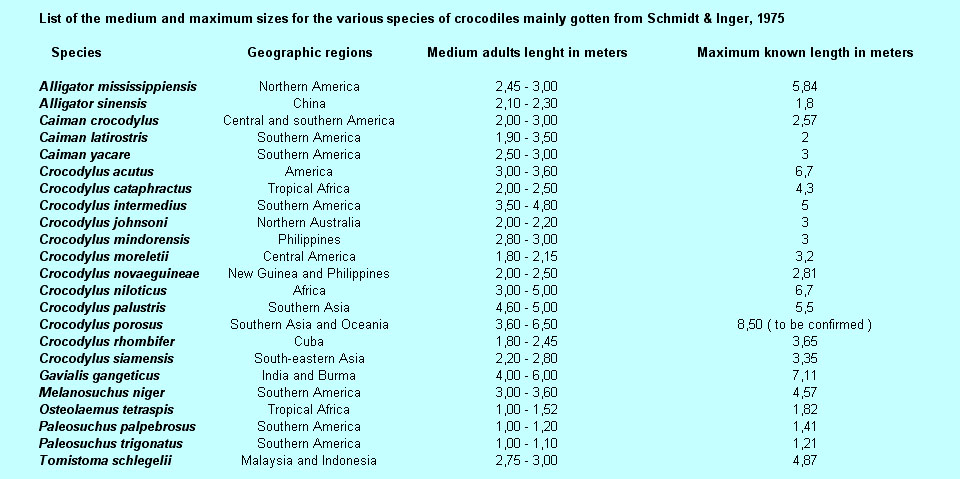 Dimensions and origin zones of the species belonging to the Crocodylia order