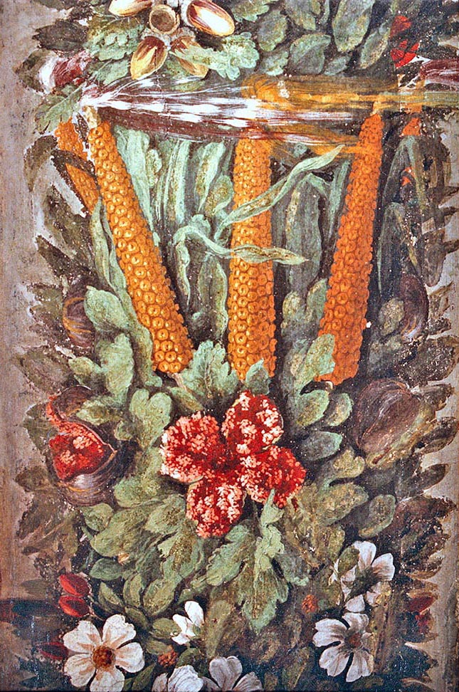 An interesting fresco, by Giovanni da Udine pupil of Raphael, in the loggia of Psiche of the Villa Farnesina in Rome. Contains probably the first representation of Maize in Europe. It is to be noted that these frescoes have been done between 1515 and 1517, therefore a very few years after the arrival of this species in Europe 