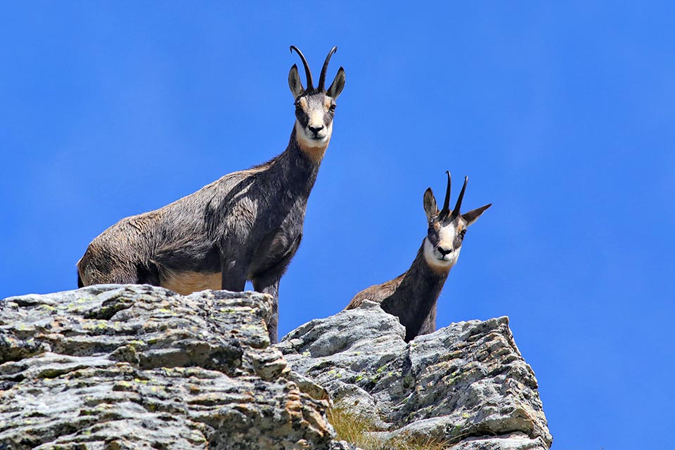 La vista dall’alto stimola la curiosità e consente un ampio controllo di tutta l’area circostante