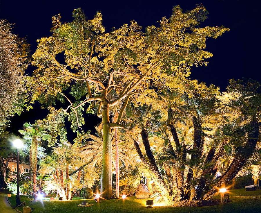 Enchanting night, Monte Carlo Casino Gardens, Monaco Principality