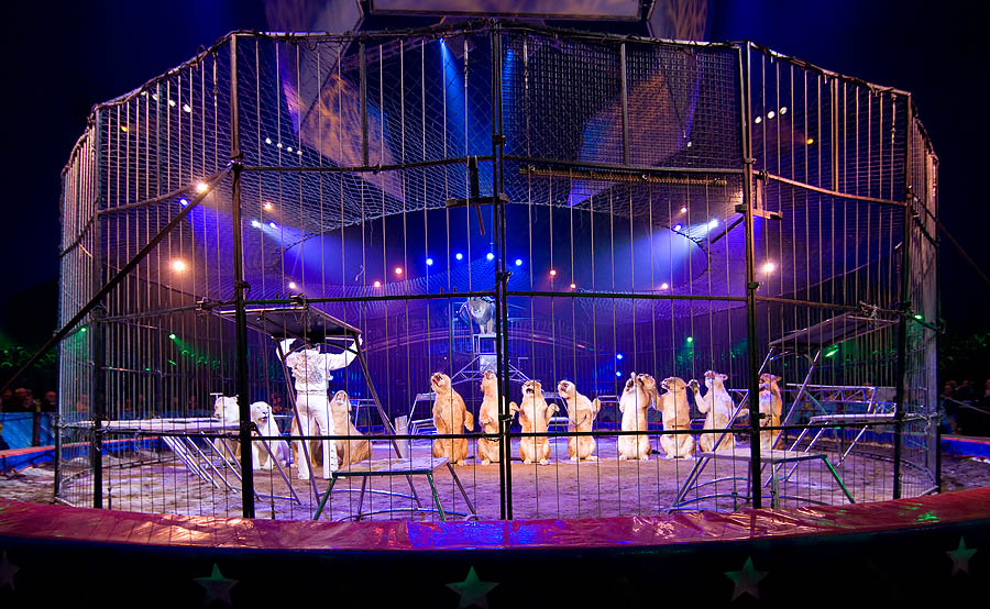 Circus International Festival, Monaco Principality