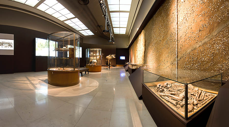 Monaco Principauté, Musée d’Anthropologie préhistorique