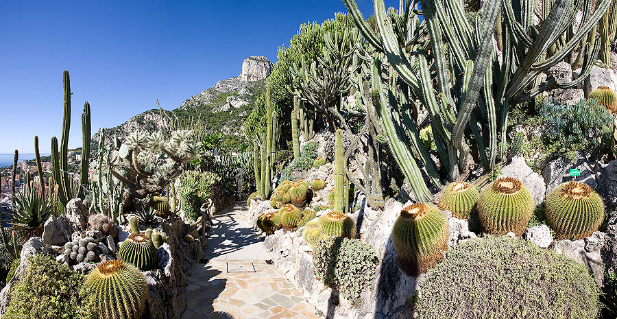 Jardin Exotique del Principato Monaco