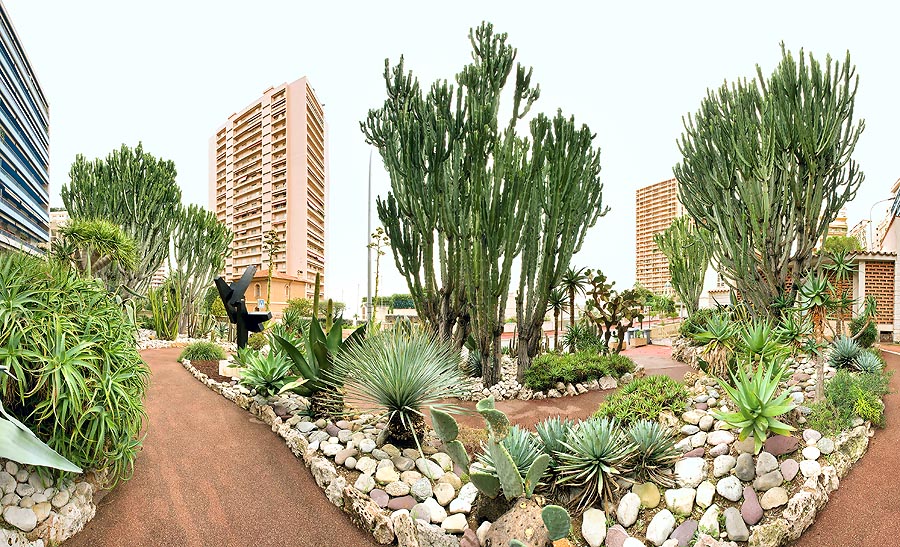 Monaco Principauté, plantes succulentes en ville