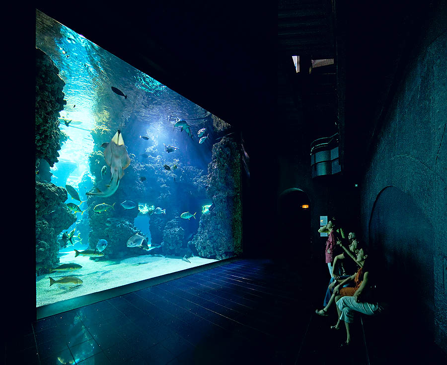 The acquarium of the Monaco Oceanographic Museum holds a 400.000 ltrs pool, 6 mt tall