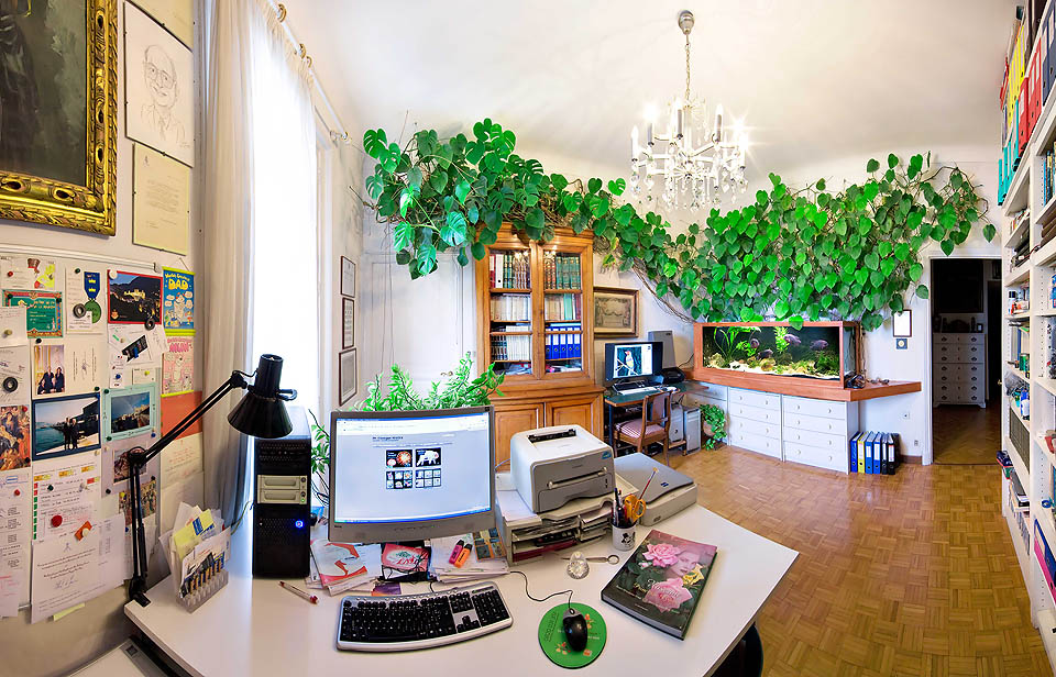 The working desk, the aquarium and the well-known philodendron