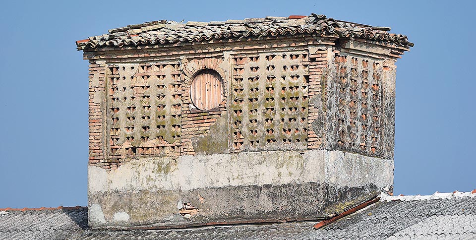 Mais en Italie les rapports avec celui qui brisait les épis sous son poids, détruisant les récoltes pour quelques graines n’ont pas toujours été tendres. Les paysans lombards construisaient sur le toit de leurs fermes des petites maisons pour moineaux à première vue accueillantes, les “passerere”, afin d’appliquer le principe “Toi moineau tu manges mon grain et moi je mange ta chair” On choisissait un mur du bâtiment, en évitant le nord, où les moineaux venaient nicher © Gianfranco Colombo